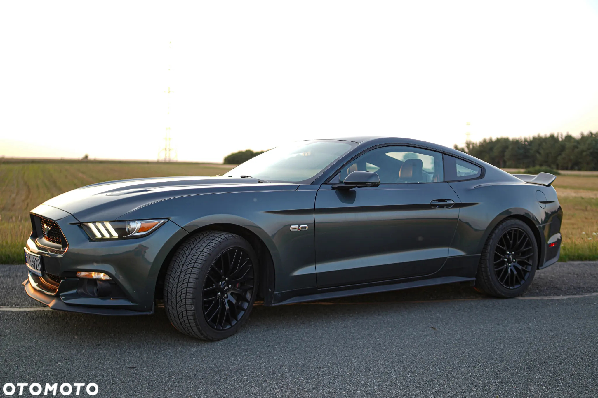 Ford Mustang 5.0 V8 GT - 19