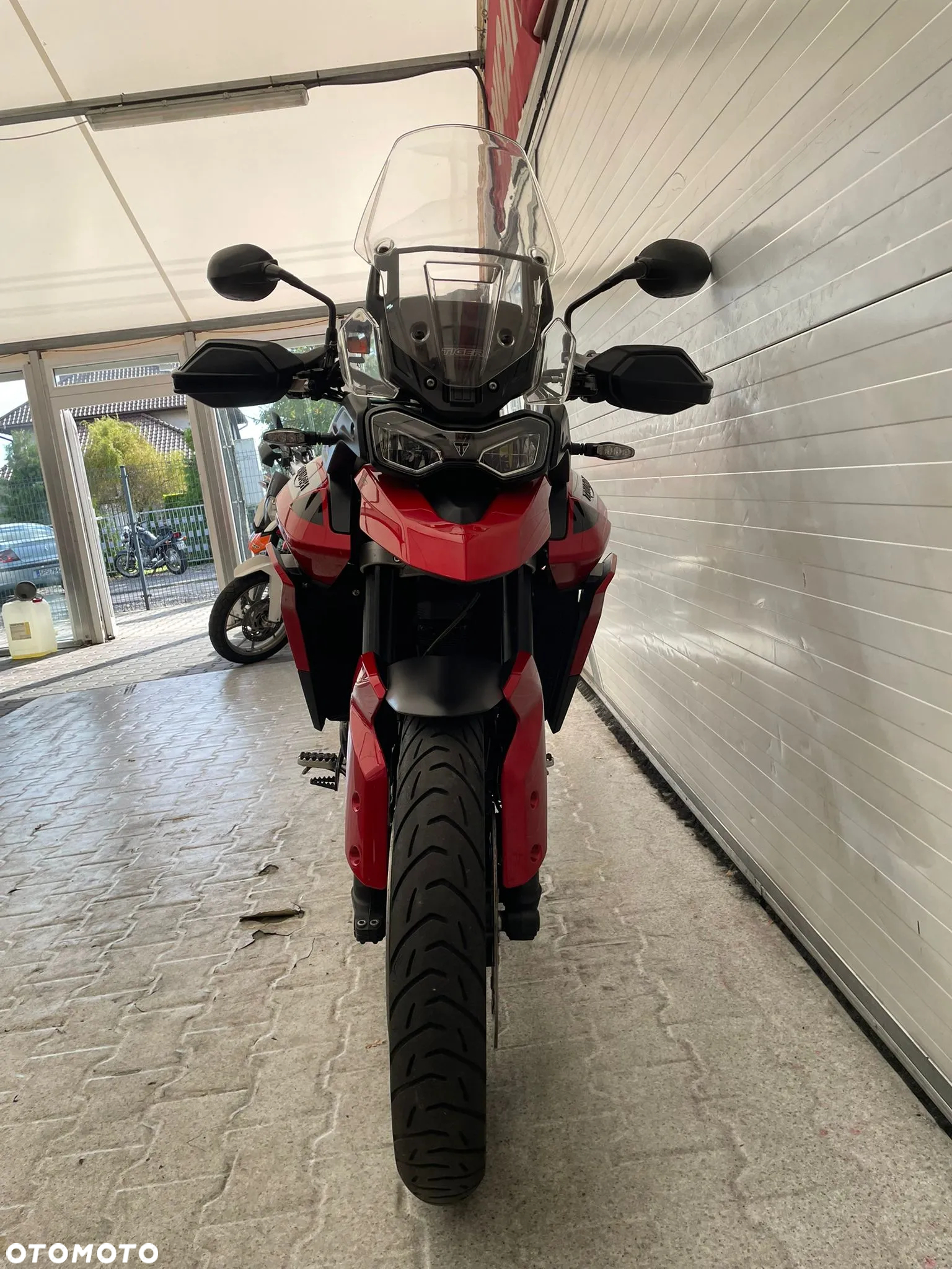Triumph Tiger - 25