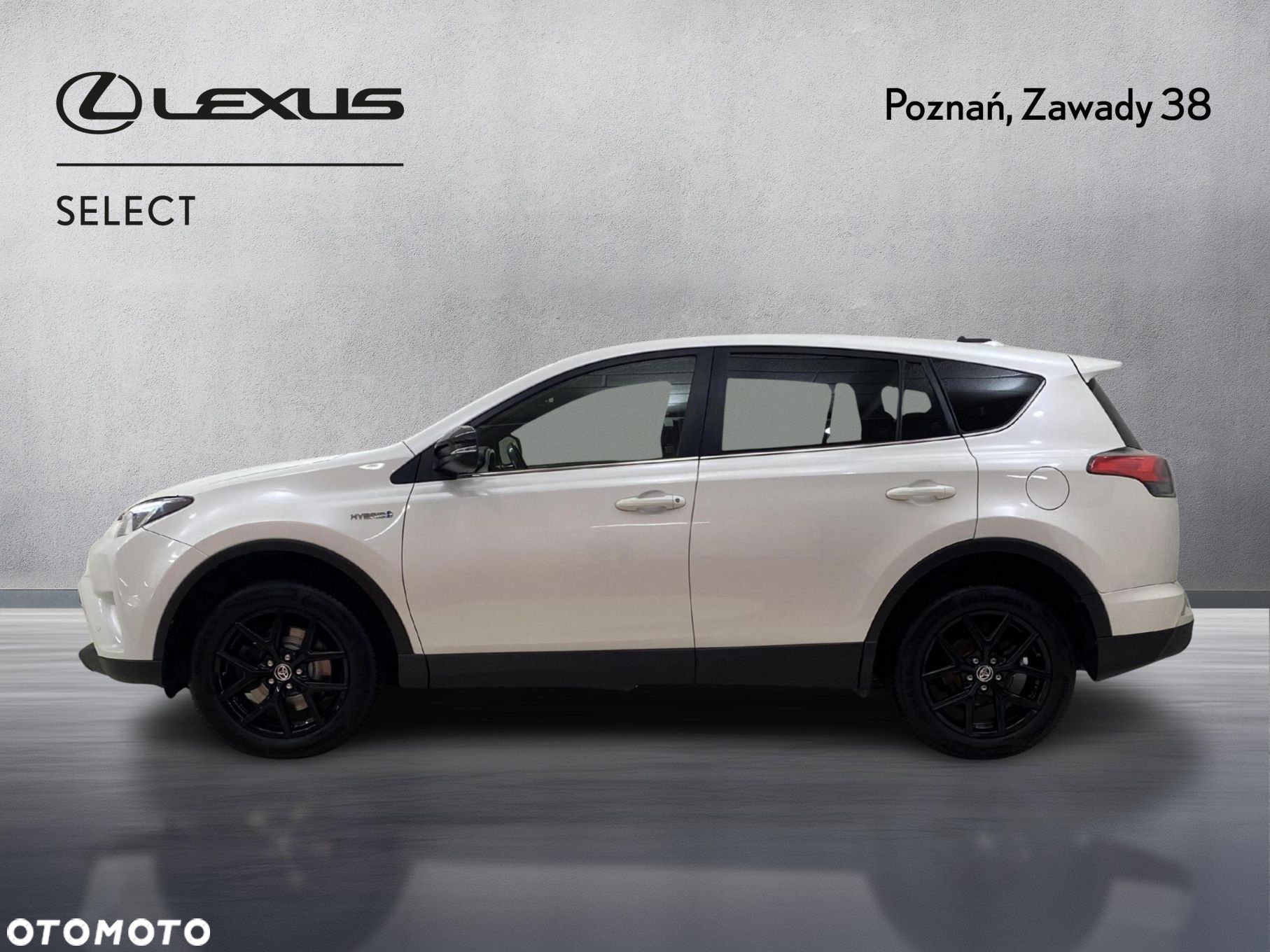 Toyota RAV4 Hybrid Premium 4x4 - 5
