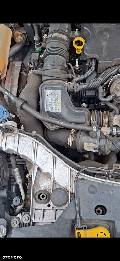 Ford Focus 1.0 EcoBoost 99g Gold X (Edition Start) - 24