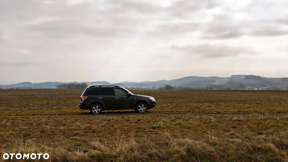 Subaru Forester 2.0X Automatik Comfort - 1