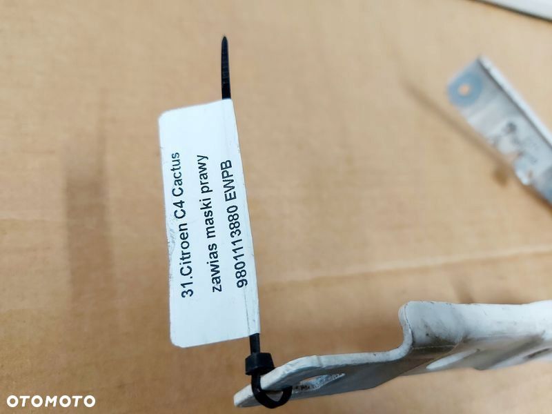 C4 CACTUS ZAWIAS MASKI PRAWY EWPB 9801113880 - 2