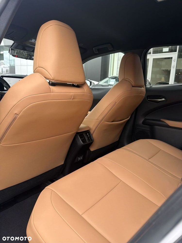 Lexus UX 250h GPF F Sport Design 2WD - 21