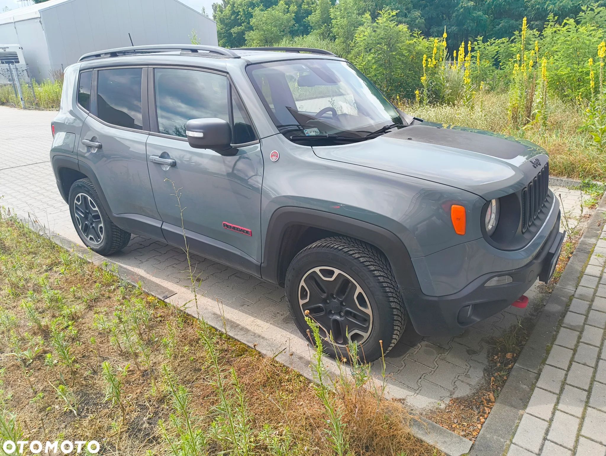 Jeep Renegade - 1
