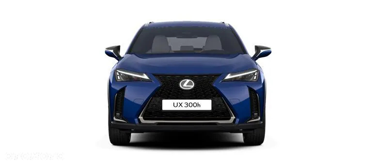 Lexus UX 300h F Sport Design - 3