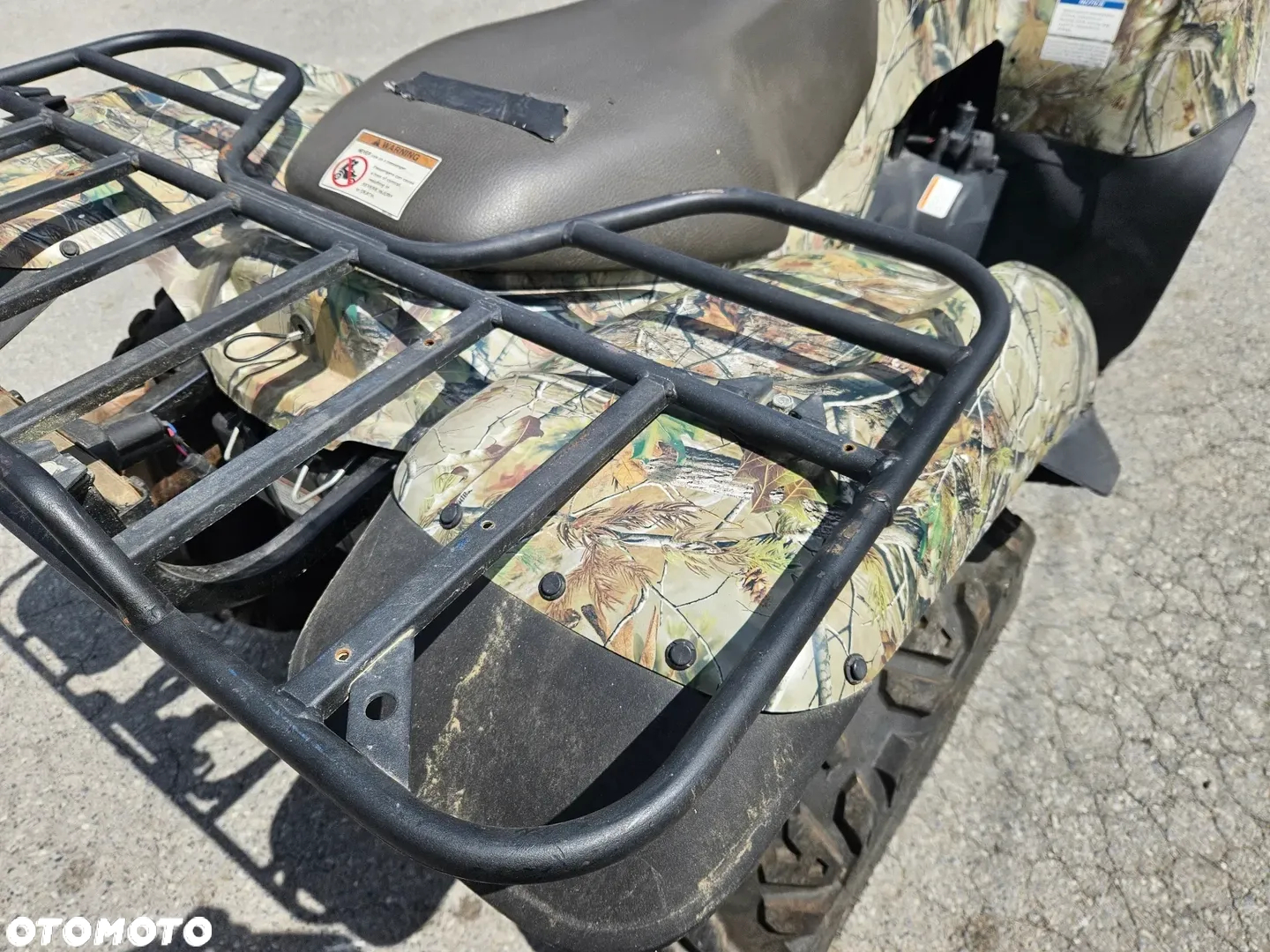 Kawasaki Brute Force - 23
