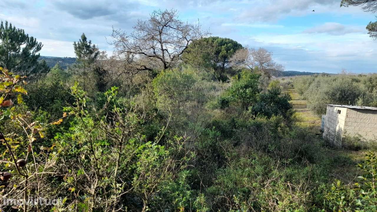 Terreno  para venda - Grande imagem: 3/13