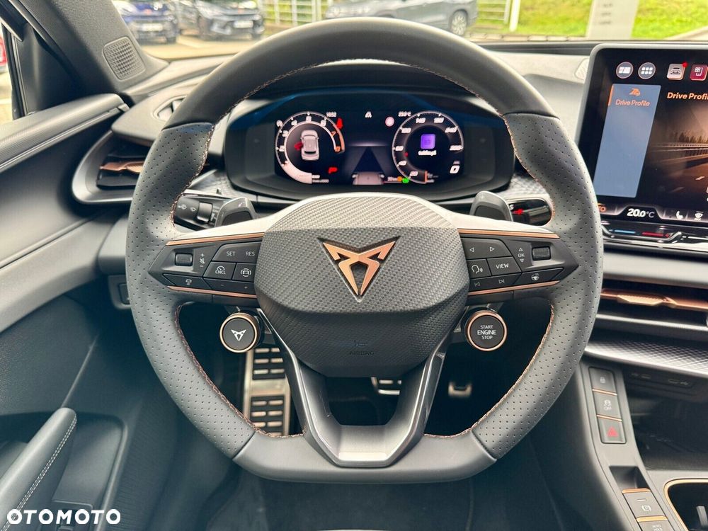 Cupra Terramar 2.0 TSI 4Drive DSG - 18