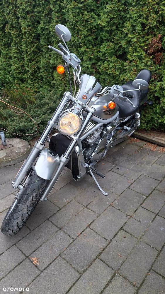 Harley-Davidson V-Rod Street Rod - 8