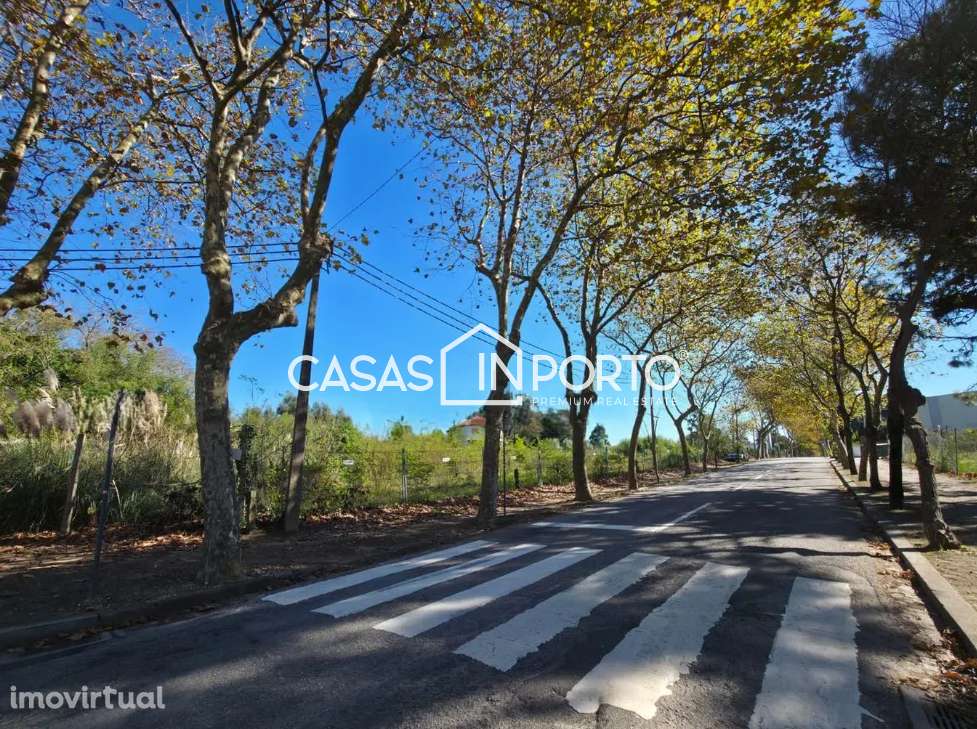 Terreno em Francelos com Projeto Aprovado - Grande imagem: 3/17