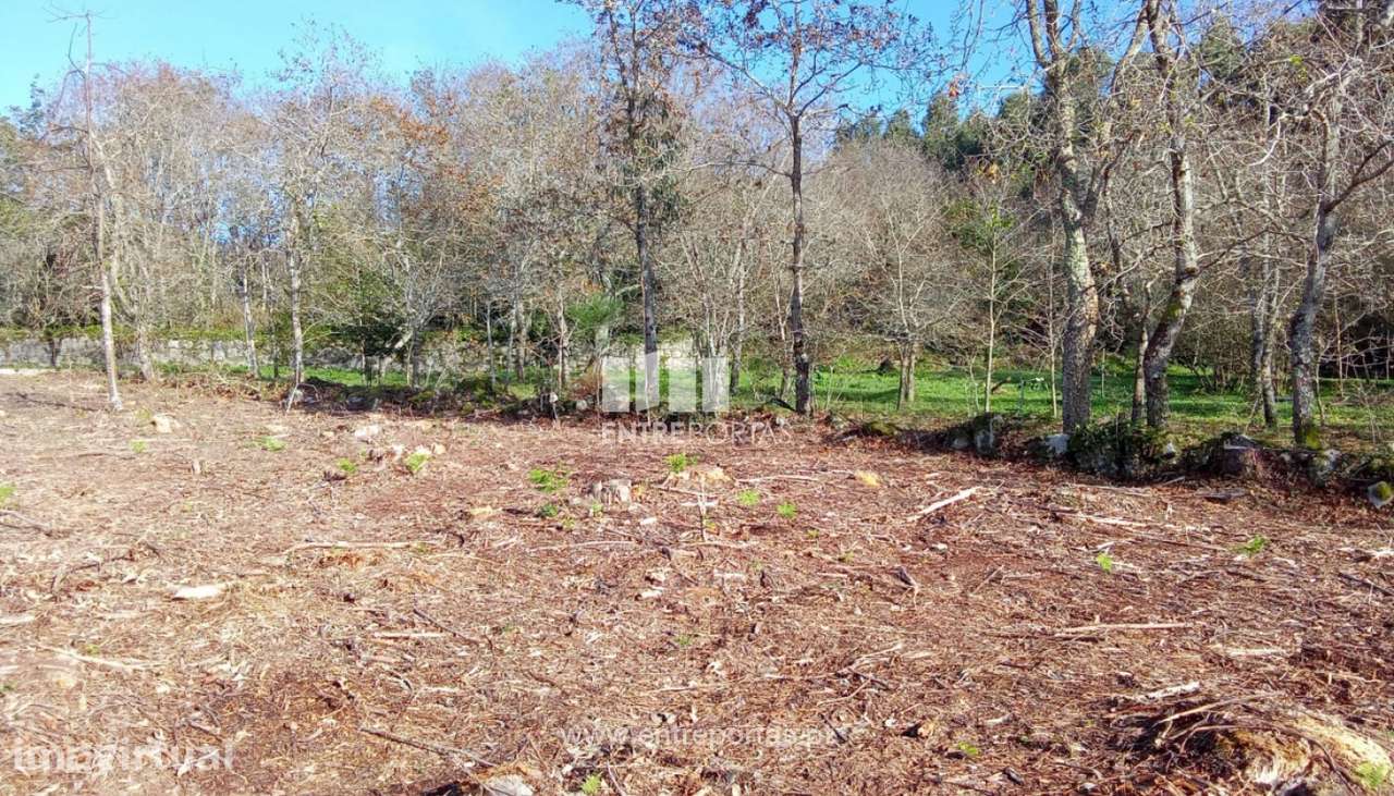 Venda de Terreno de construção, Afife, Viana do Castelo. - Grande imagem: 2/27