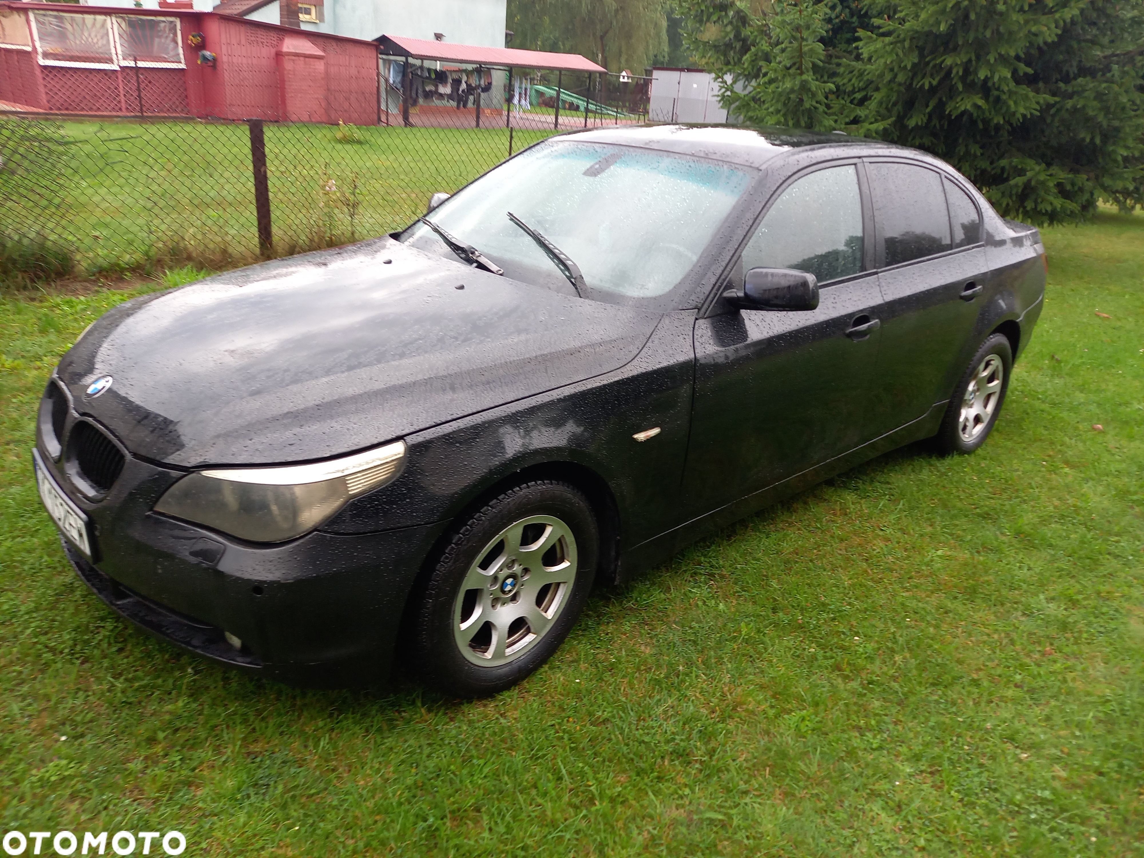 BMW Seria 5 520d - 19
