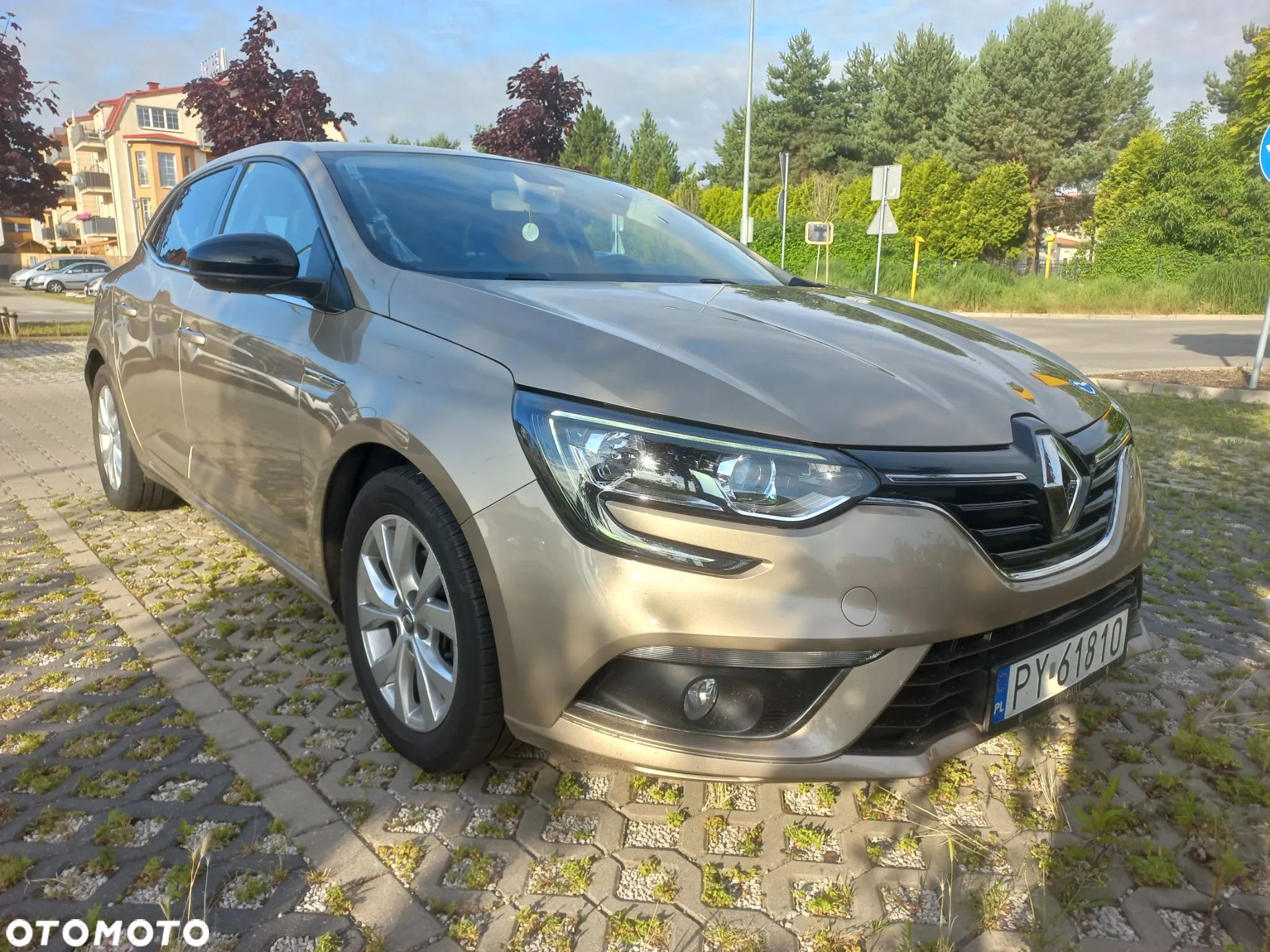Renault Megane 1.3 TCe FAP Limited - 1