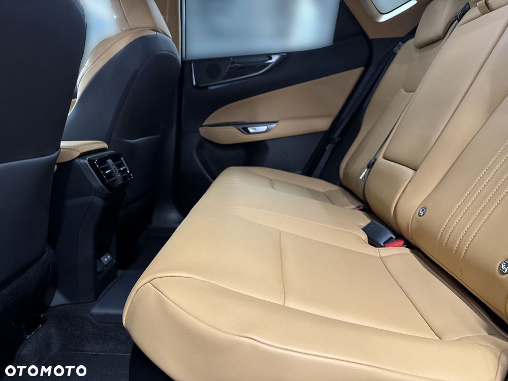 Lexus NX - 10