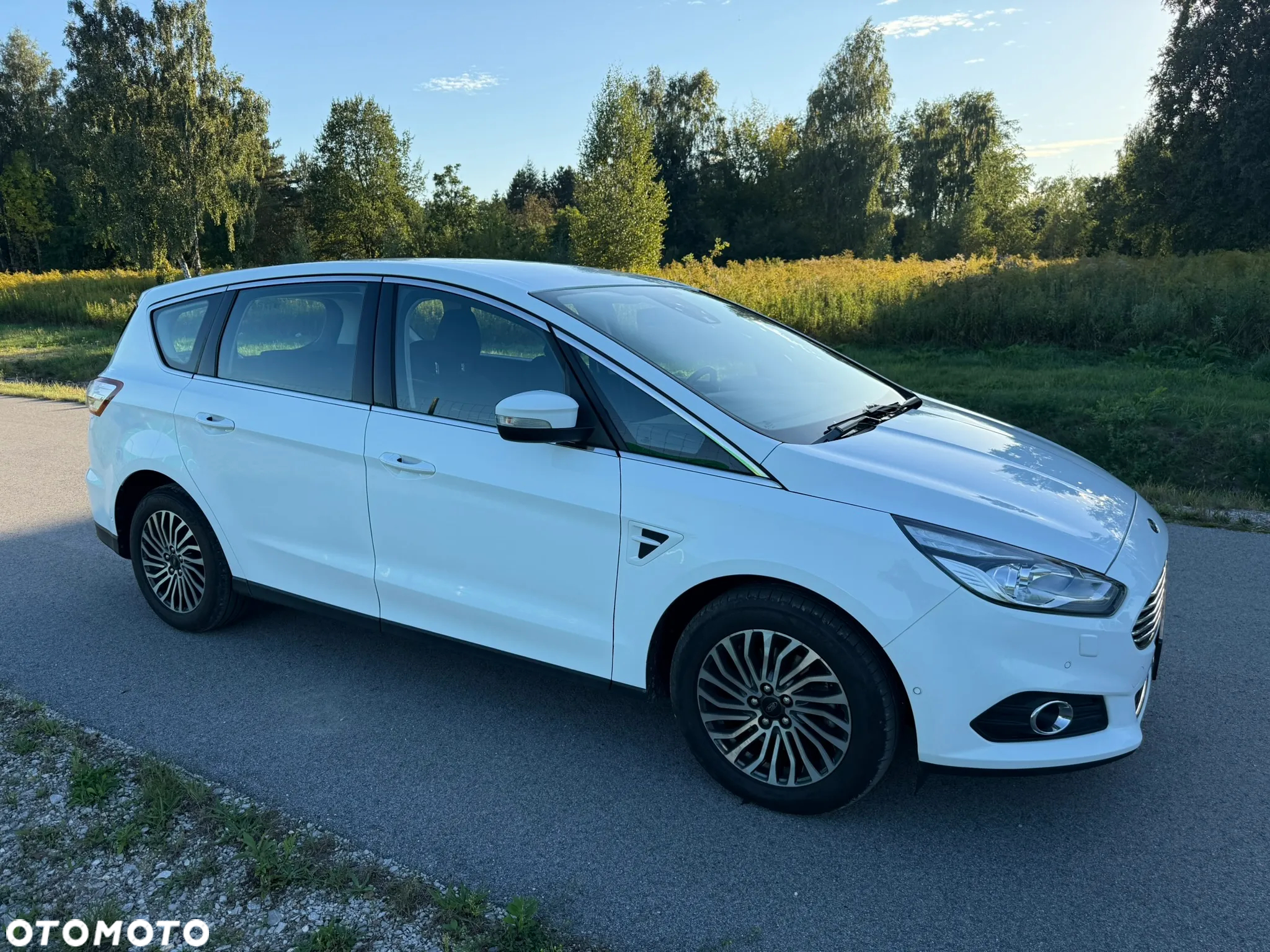 Ford S-Max 2.0 EcoBlue Titanium - 13