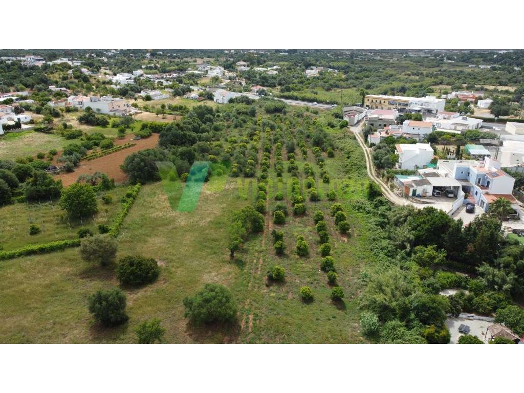 Terreno rustico em Moncarapacho, Olhão - Grande imagem: 4/23