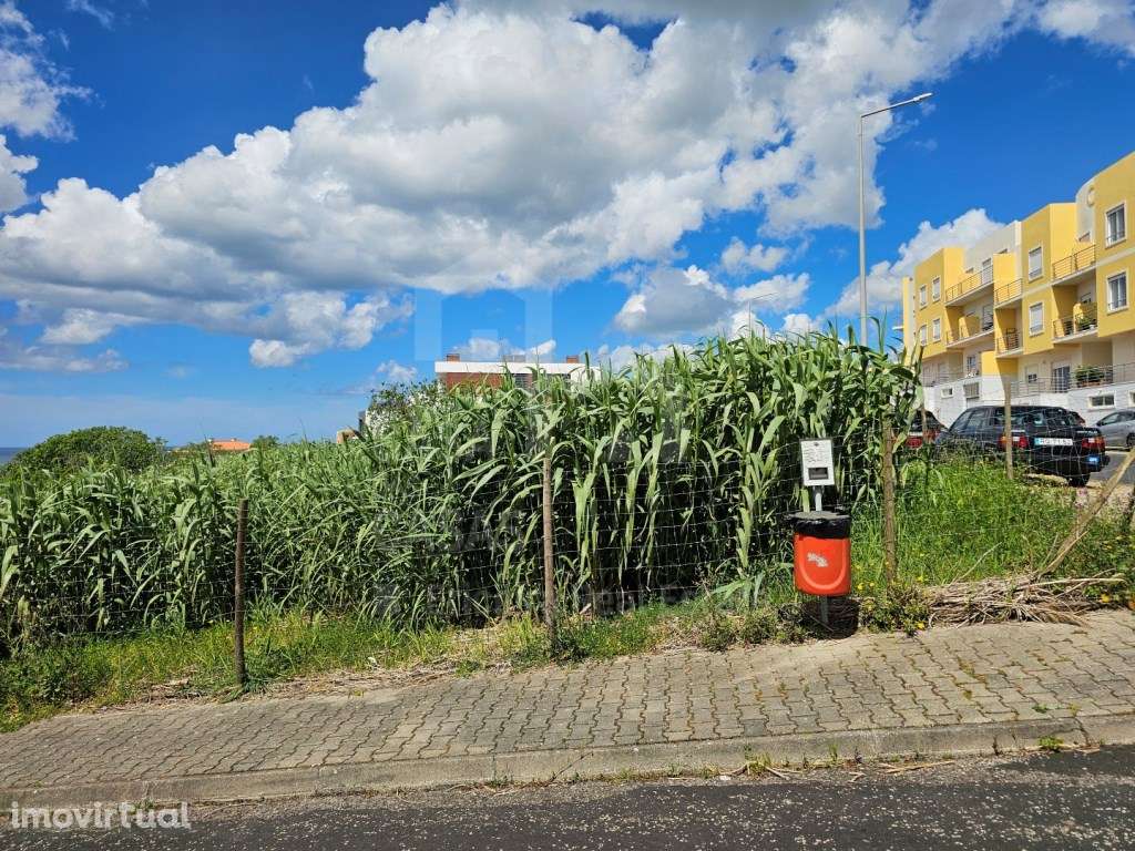 Vende Lote - Ericeira 1 km, A Casa das Casas - Grande imagem: 5/15