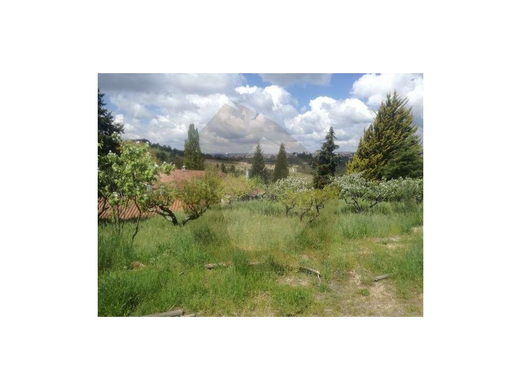 QUINTA AGRICOLA - CELORICO DA BEIRA - Grande imagem: 4/24