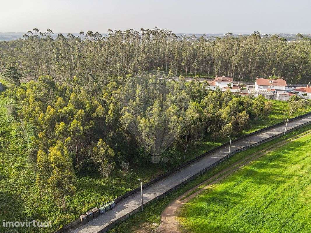 Terreno  para venda - Grande imagem: 5/11