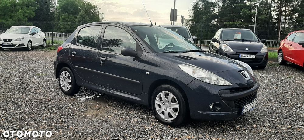 Peugeot 206 plus - 25