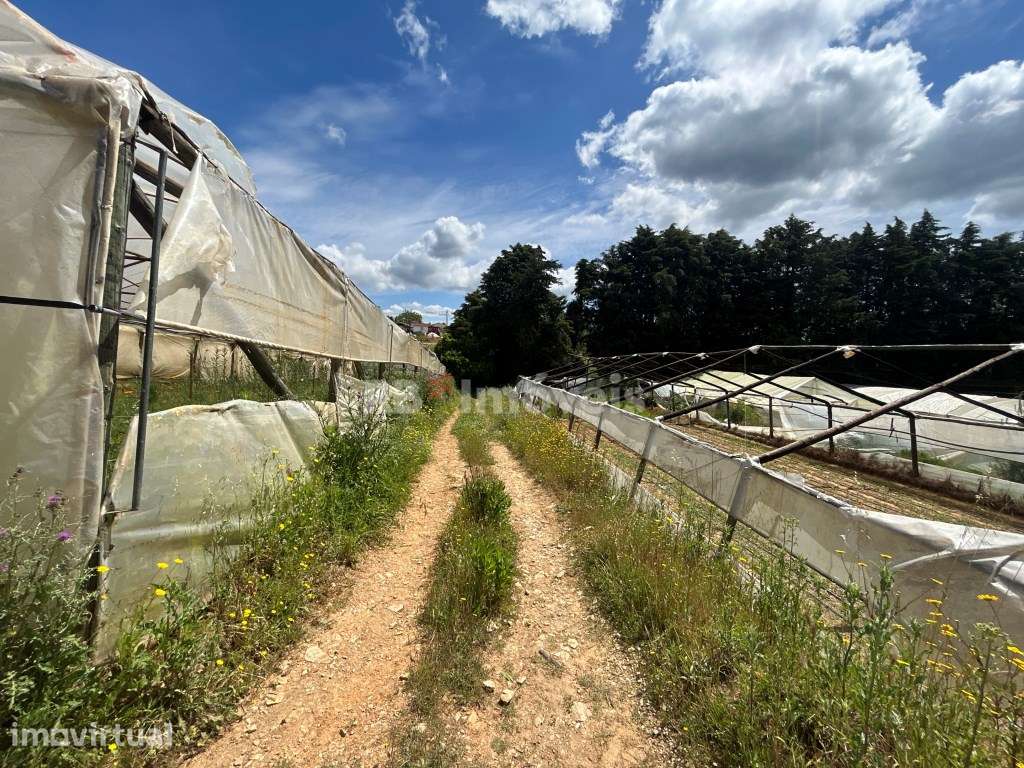 2 Terrenos com estufas - Pardielas, Ferreira do Zêzere - Grande imagem: 2/39
