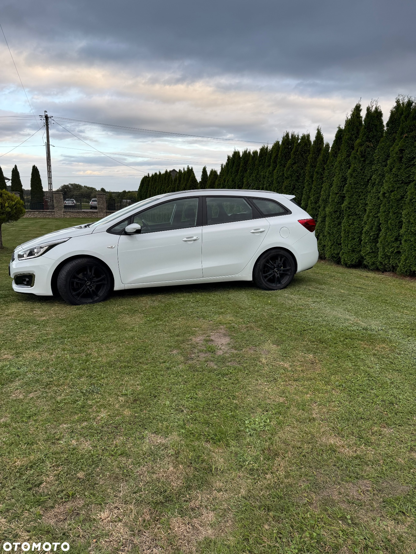 Kia Ceed - 2