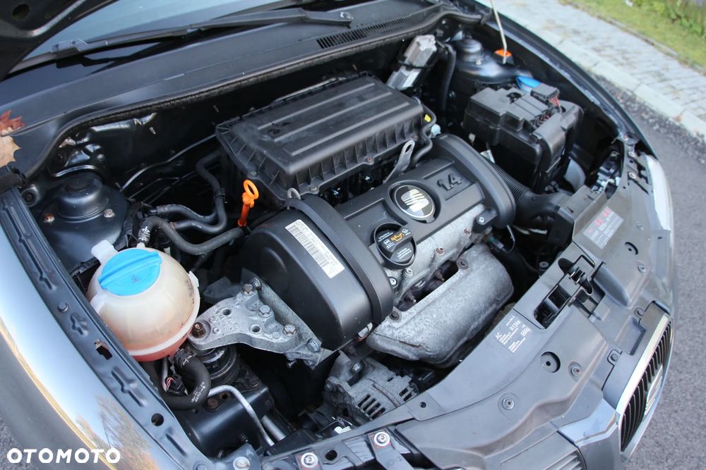 Seat Ibiza - 40