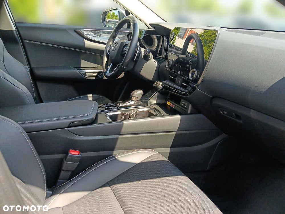 Lexus NX - 10