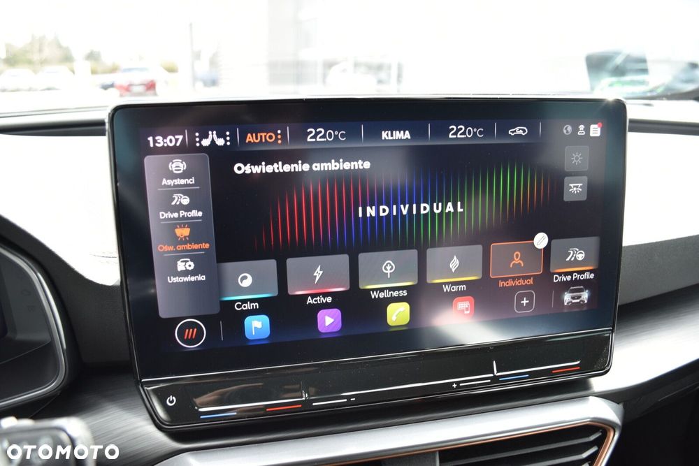 Cupra Formentor 2.0 TSI 4Drive DSG - 24