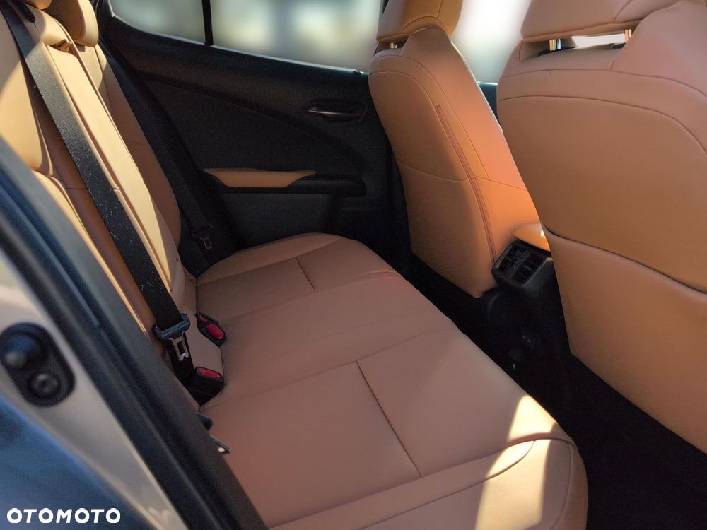 Lexus UX 300h F Sport Design - 10