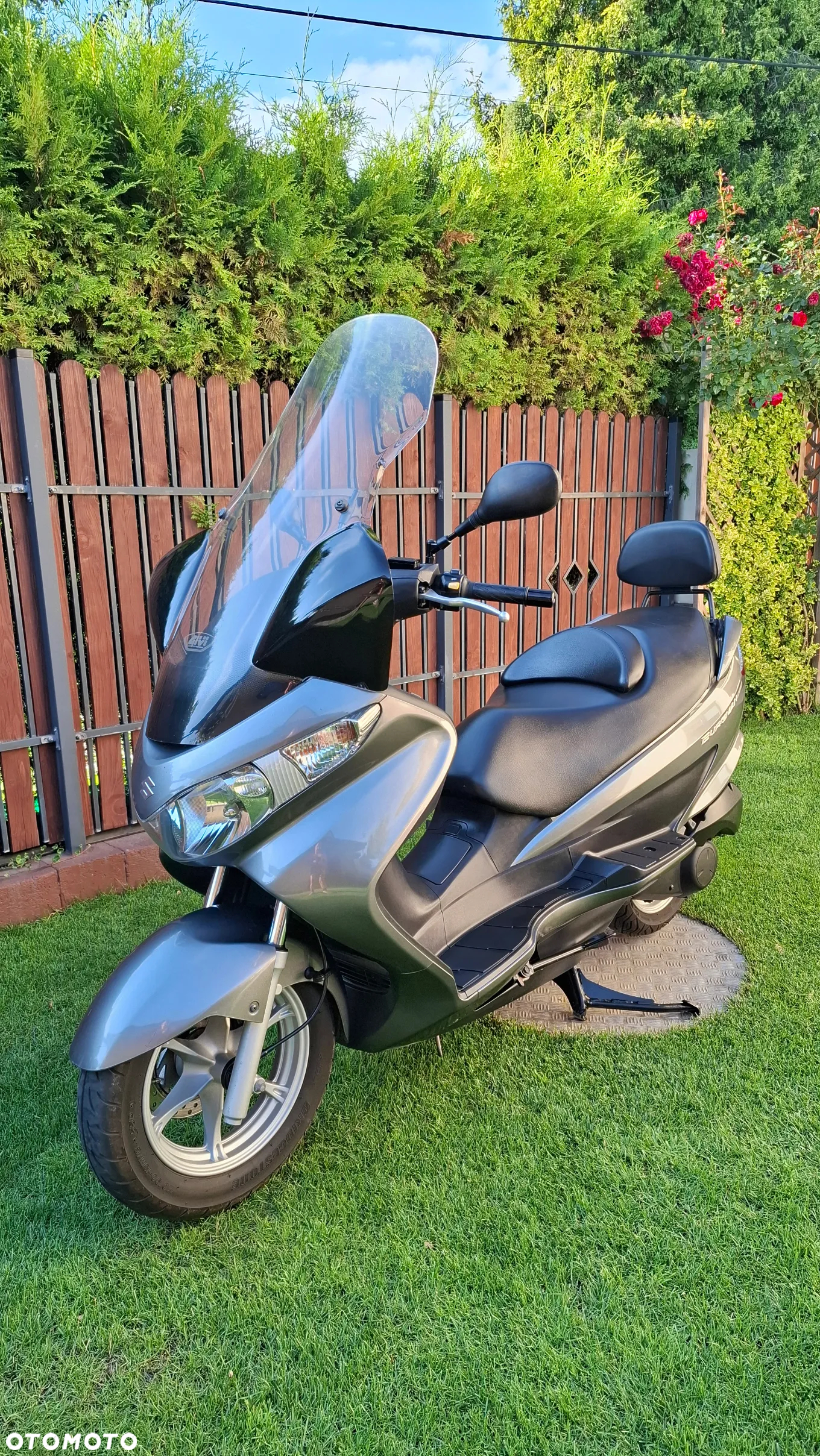 Suzuki Burgman - 3