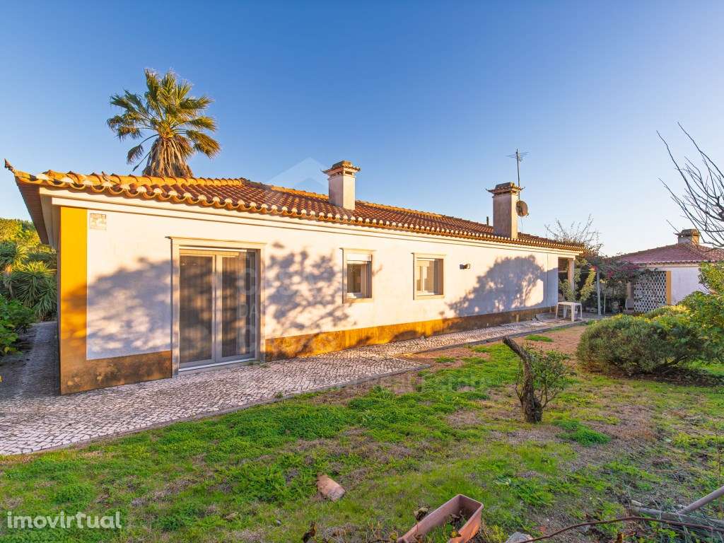 Vende Moradia, Ericeira 5 Km, A Casa das Casas - Grande imagem: 3/43