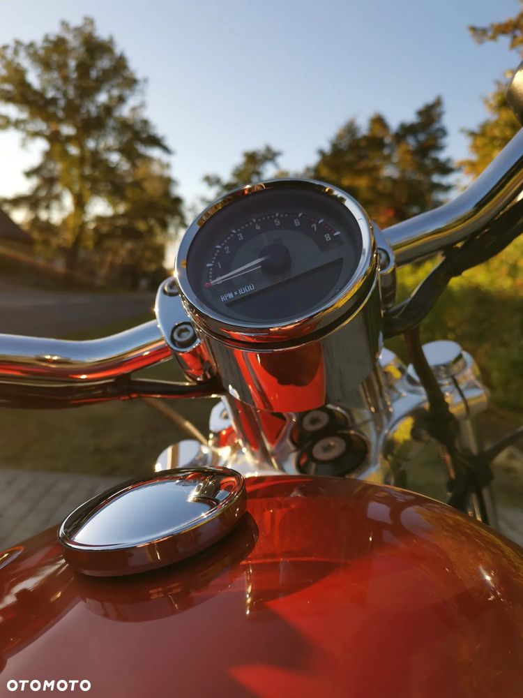 Harley-Davidson Sportster Custom 1200C - 5
