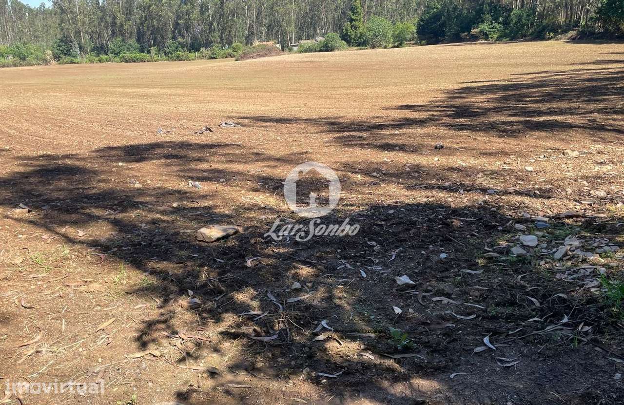 Terreno agrícola com 45.000m2 e 100m frente em Balazar, Póvoa de va... - Grande imagem: 3/4