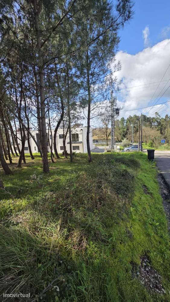 Terreno para Construção em Montouro – Oliveira do Bairro - View 3