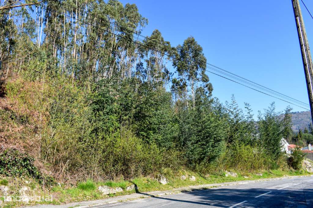 Lote Construção - Vieira do Minho - Grande imagem: 2/10