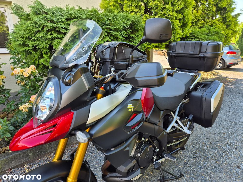 Suzuki DL - 3