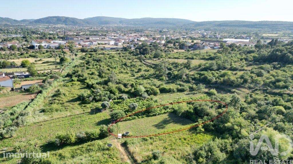 Terreno Agrícola em Avelar - Grande imagem: 4/19