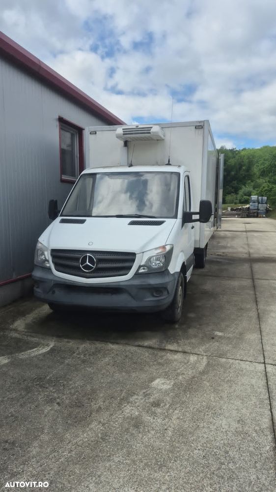 Mercedes-Benz 313CDI - 3