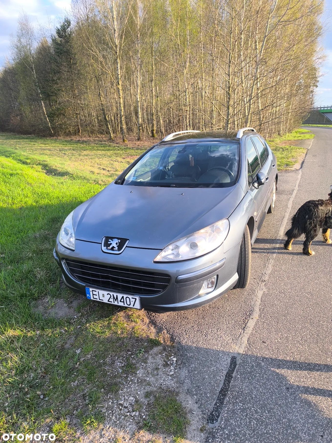 Peugeot 407 2.0 HDI Sport - 1