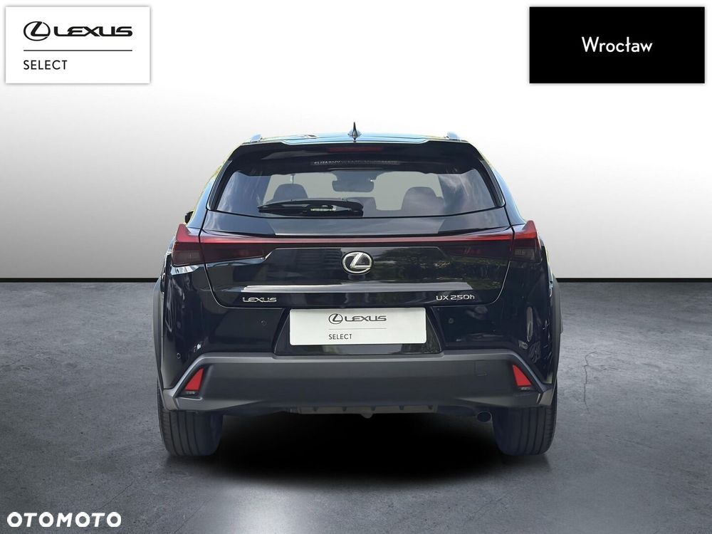 Lexus UX 250h GPF Business 2WD - 5