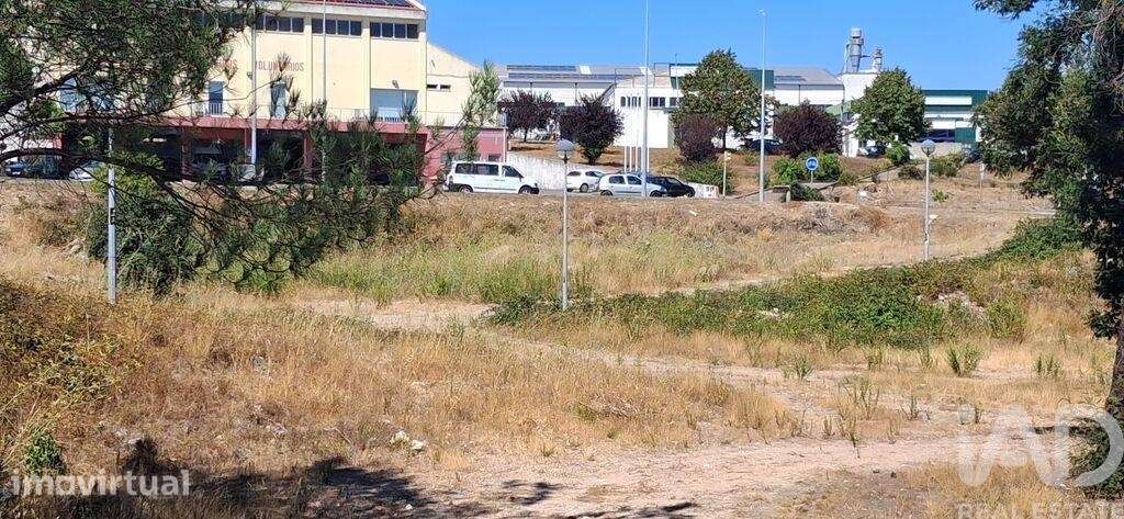 Terreno para construção em Vila de Rei - Grande imagem: 2/12