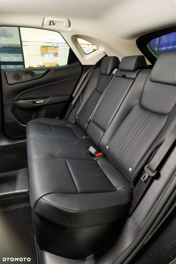 Lexus NX - 20