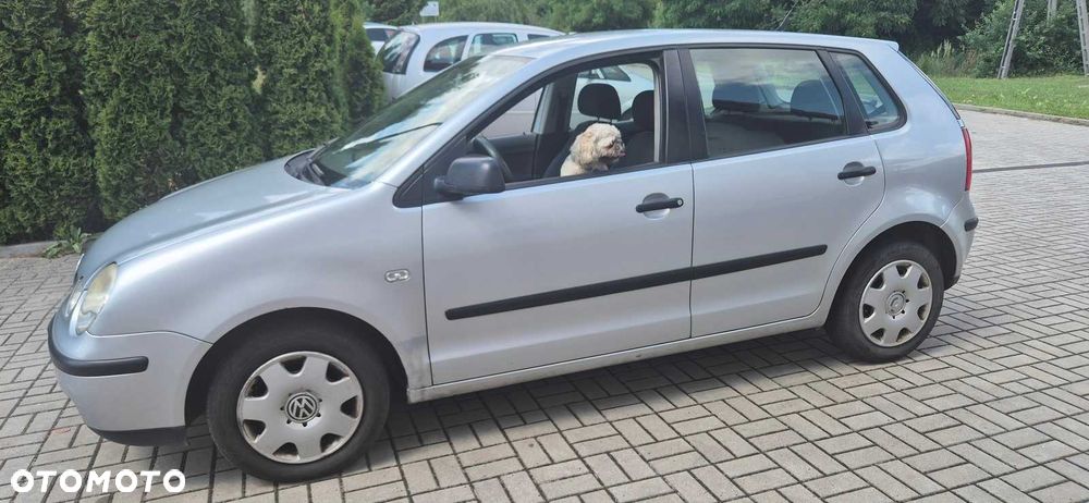 Volkswagen Polo - 1