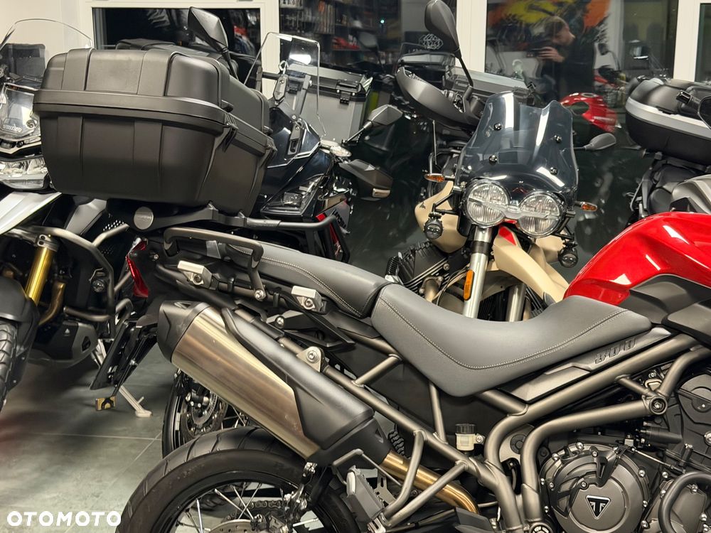Triumph Tiger - 10