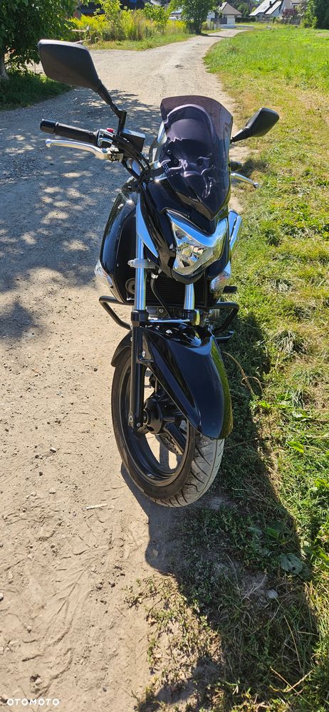 Suzuki GW 250 - 5