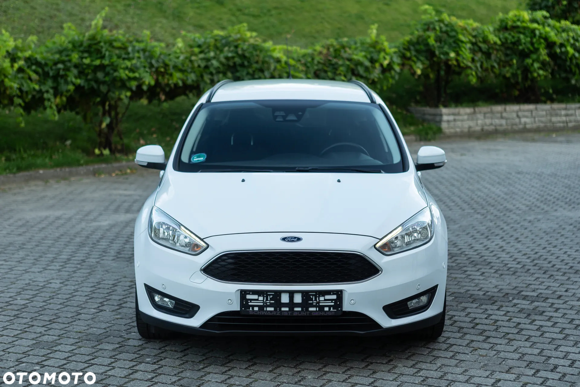 Ford Focus - 5