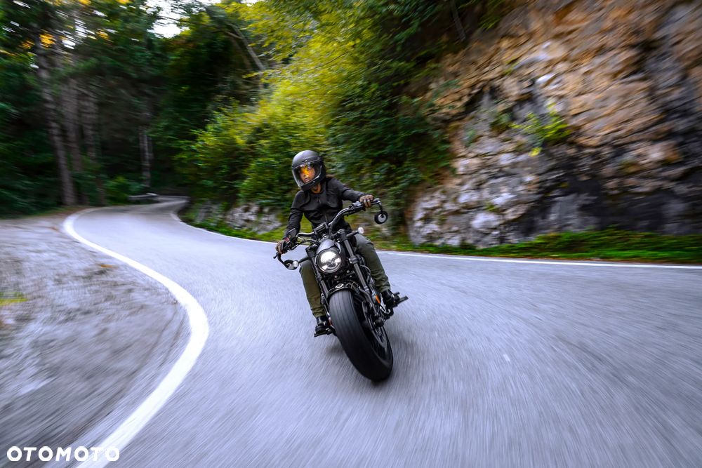 Benda Chinchilla 500 - 7