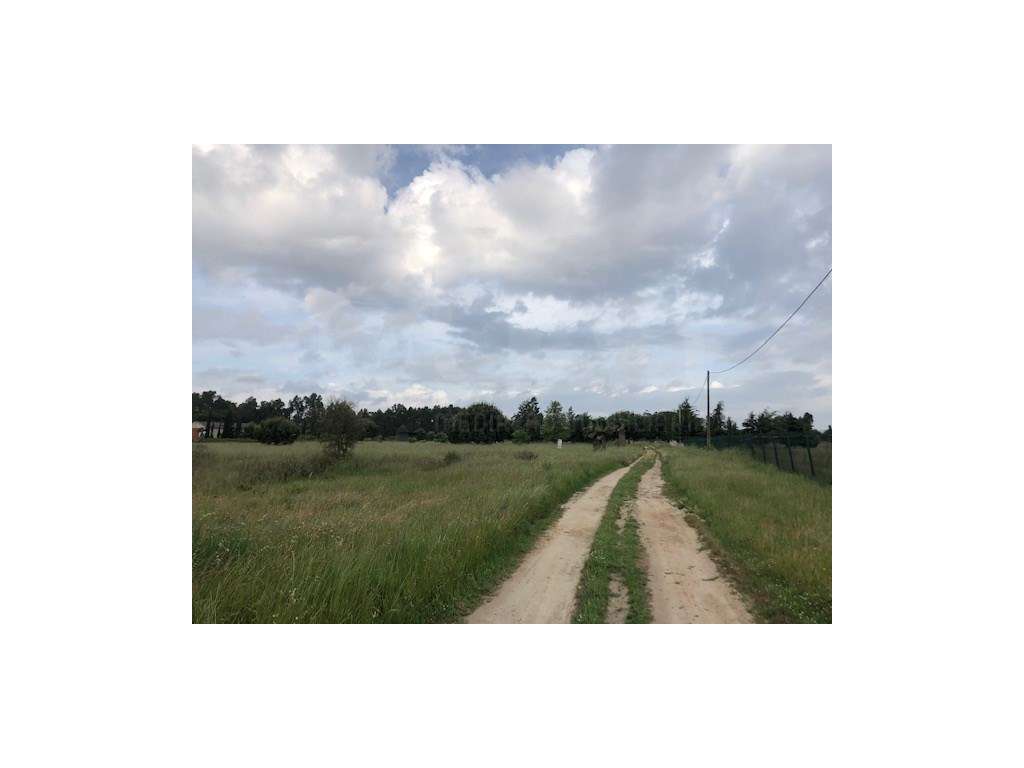 Terreno Benavente - Grande imagem: 4/16