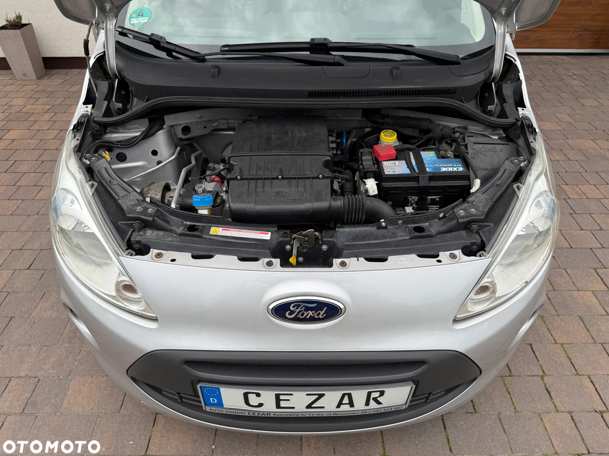 Ford KA - 12
